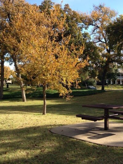 Craddock Park - Dallas, TX