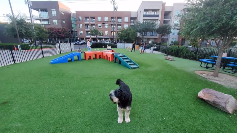 Credit Union of Texas Dog Park - Dallas, TX