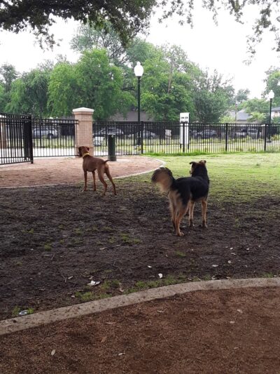 Crockett Park - Dallas, TX