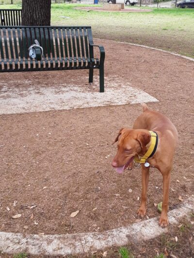 Crockett Park - Dallas, TX