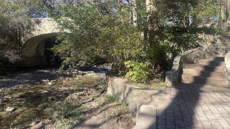 Davis Park - Dallas, TX