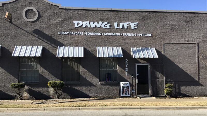 Dawg Life Doggy Daycare & Boarding - Dallas - Dallas, TX
