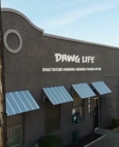Dawg Life Doggy Daycare & Boarding - Dallas - Dallas, TX