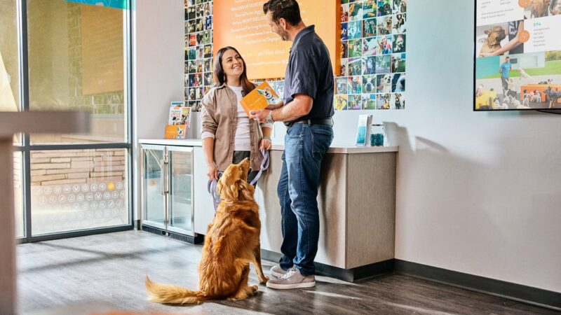 Dogtopia of Park Lane - Dallas, TX