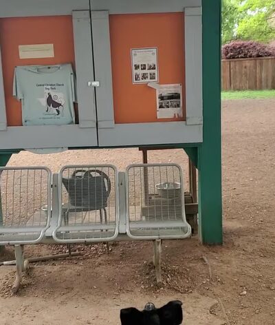 Elmwoof Dog Park - Dallas, TX