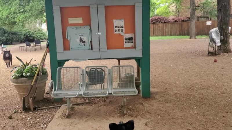 Elmwoof Dog Park - Dallas, TX