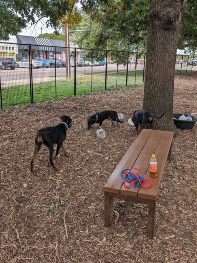 Elmwoof Dog Park - Dallas, TX