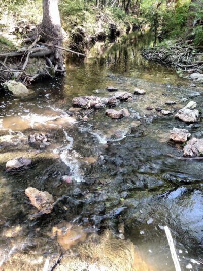 Fireside Park - Dallas, TX