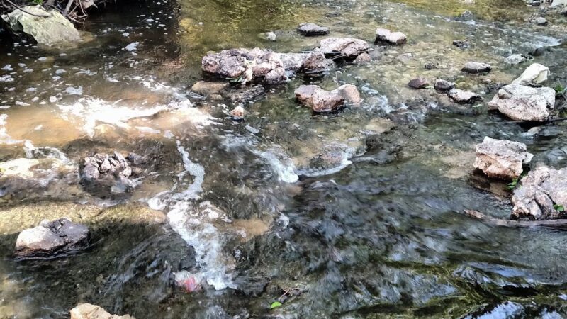 Fireside Park - Dallas, TX
