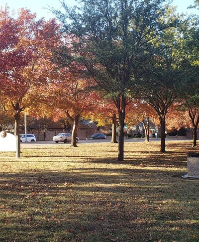 Frankford Park - Dallas, TX