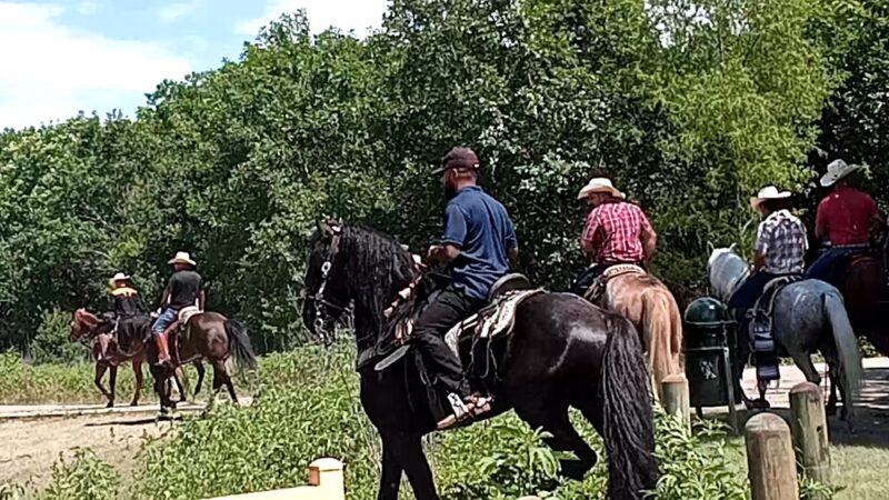 Gateway Park & Horse Trail - Dallas, TX