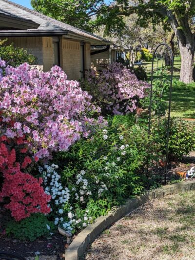 Glen Meadow Park - Dallas, TX