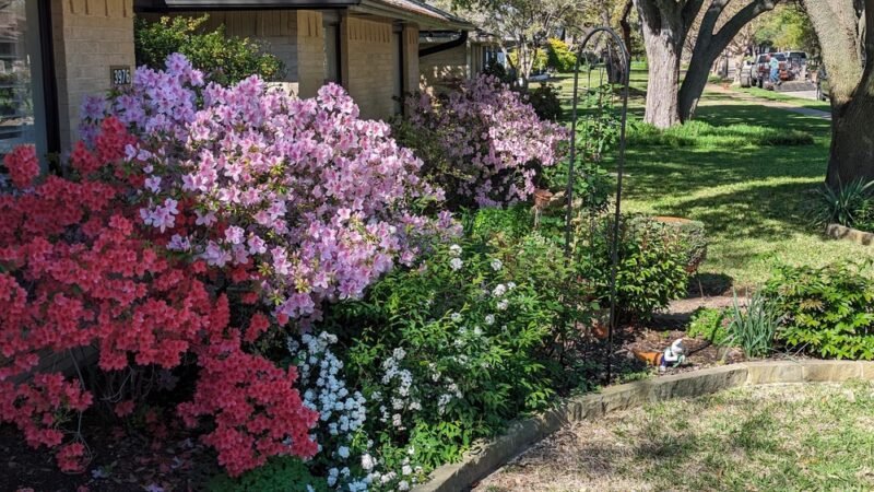 Glen Meadow Park - Dallas, TX