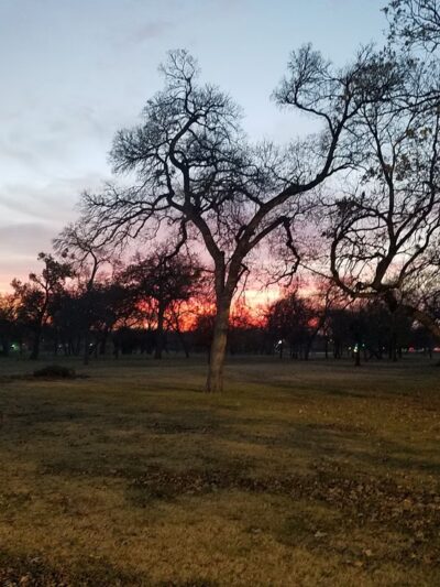 Glendale Park - Dallas, TX