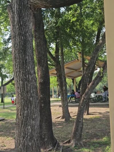 Great Trinity Forest Gateway And Horse Trail - Dallas, TX