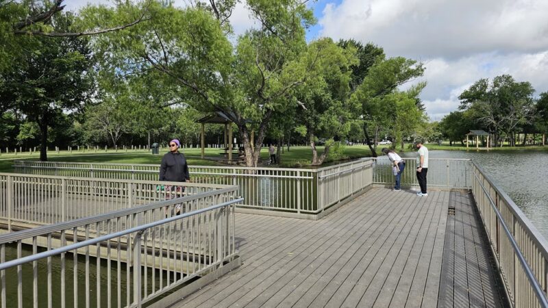 Great Trinity Forest Gateway And Horse Trail - Dallas, TX