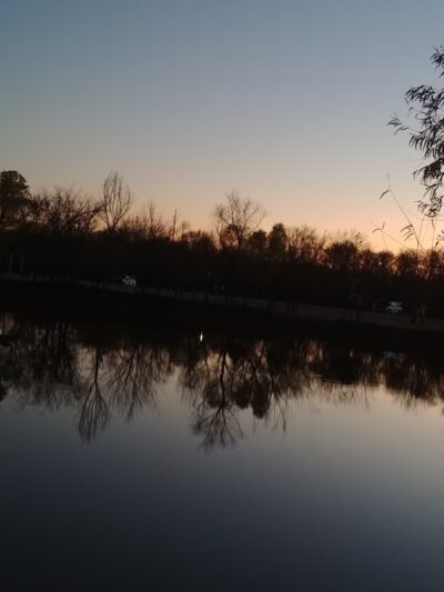 Great Trinity Forest Gateway And Horse Trail - Dallas, TX