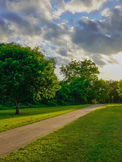 Harry S Moss Park - Dallas, TX