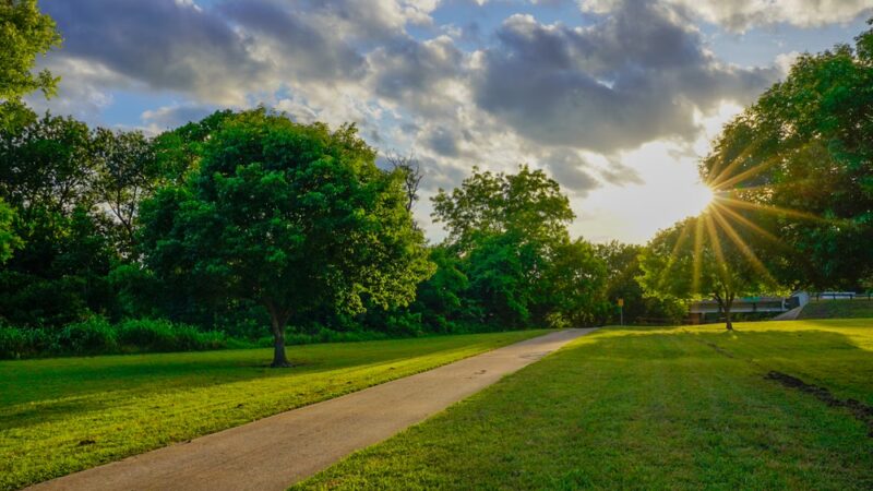 Harry S Moss Park - Dallas, TX