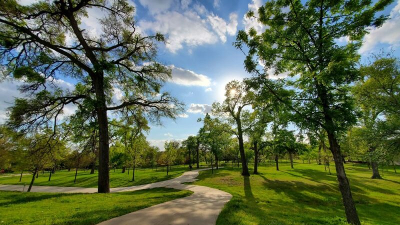 Hillcrest Park - Dallas, TX