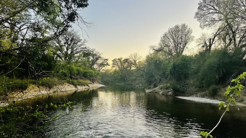 Hillcrest Park - Dallas, TX