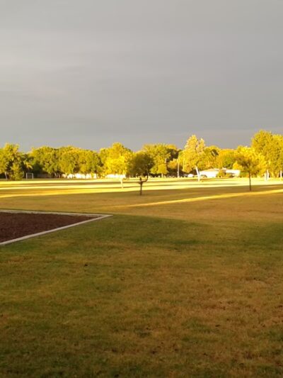 Holcomb Park - Dallas, TX