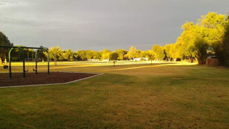 Holcomb Park - Dallas, TX