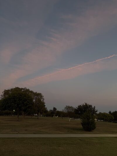 Holcomb Park - Dallas, TX