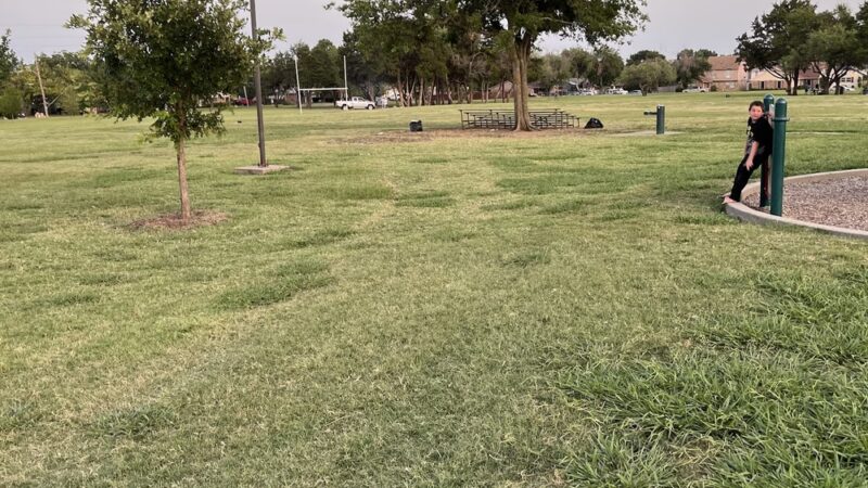 J. P. Hawn Park - Dallas, TX