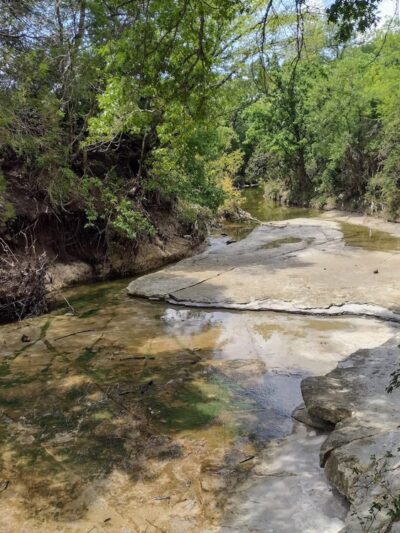 Kiest Park Conservation Area - Dallas, TX