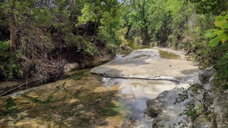 Kiest Park Conservation Area - Dallas, TX