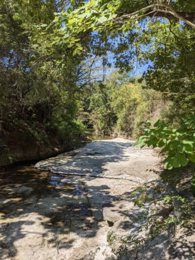 Kiest Park Conservation Area - Dallas, TX