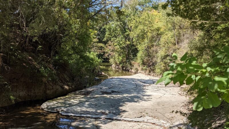 Kiest Park Conservation Area - Dallas, TX