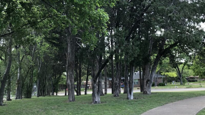 Moss Park - Dallas, TX