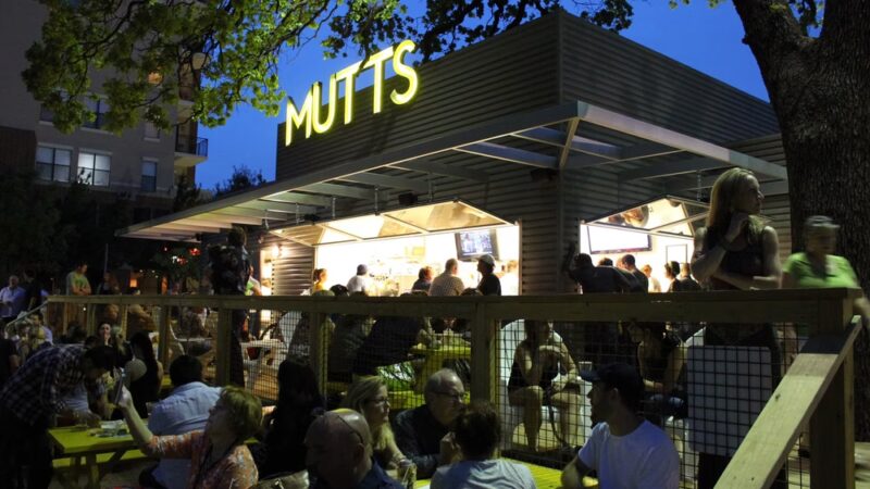 MUTTS Canine Cantina® - Dallas - Dallas, TX
