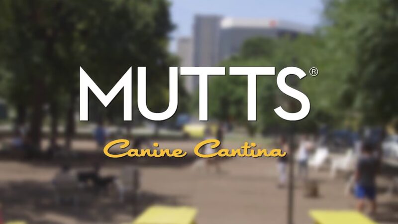MUTTS Canine Cantina® - Dallas - Dallas, TX