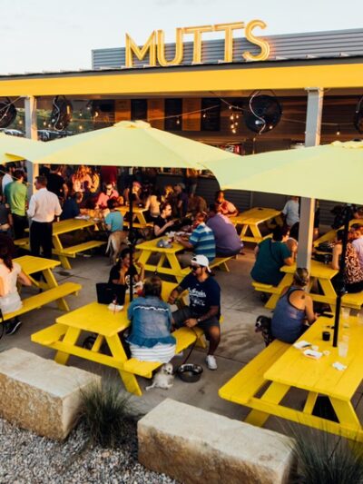 MUTTS Canine Cantina® - Dallas - Dallas, TX