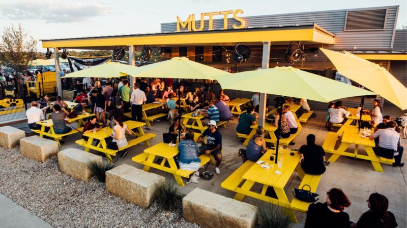MUTTS Canine Cantina® - Dallas - Dallas, TX