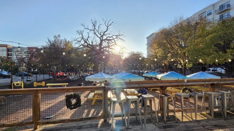 MUTTS Canine Cantina® - Dallas - Dallas, TX