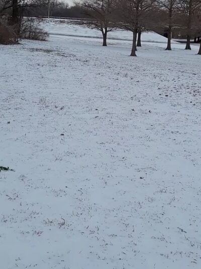 Norbuck Park - Dallas, TX
