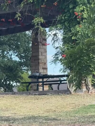 Pagewood Park - Dallas, TX