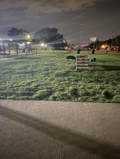 Redding Trail Dog Park - Dallas, TX