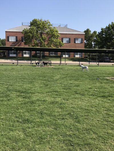 Redding Trail Dog Park - Dallas, TX