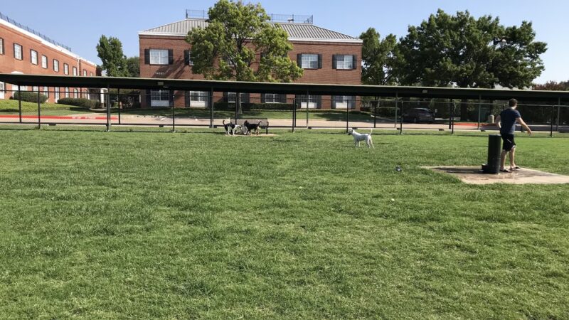 Redding Trail Dog Park - Dallas, TX