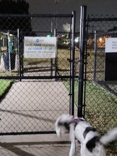 Redding Trail Dog Park - Dallas, TX