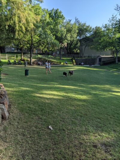 The Village WAG - Exclusive For The Village Residents - Dallas, TX
