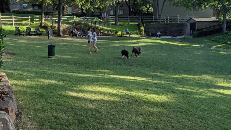 The Village WAG - Exclusive For The Village Residents - Dallas, TX