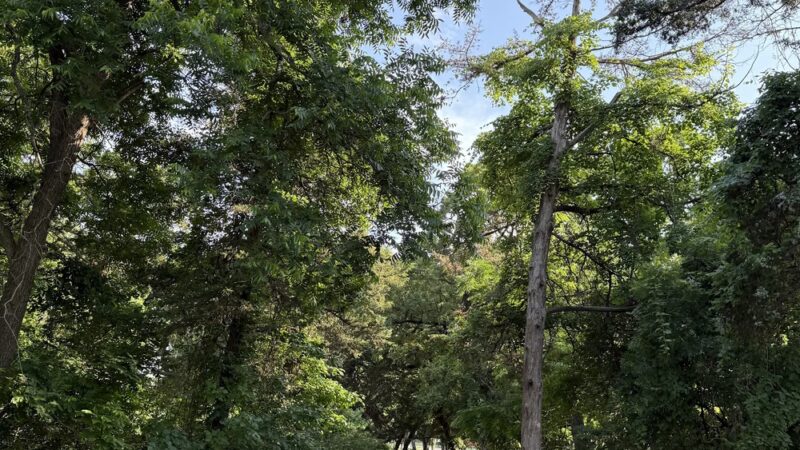 Twin Falls Park - Dallas, TX