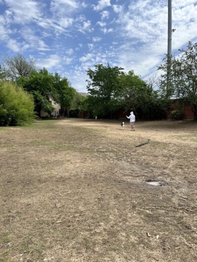 Uptown dog park - Dallas, TX