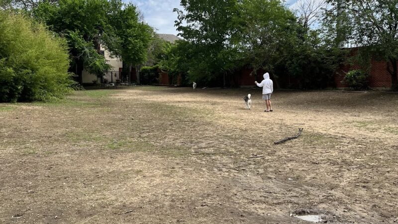 Uptown dog park - Dallas, TX